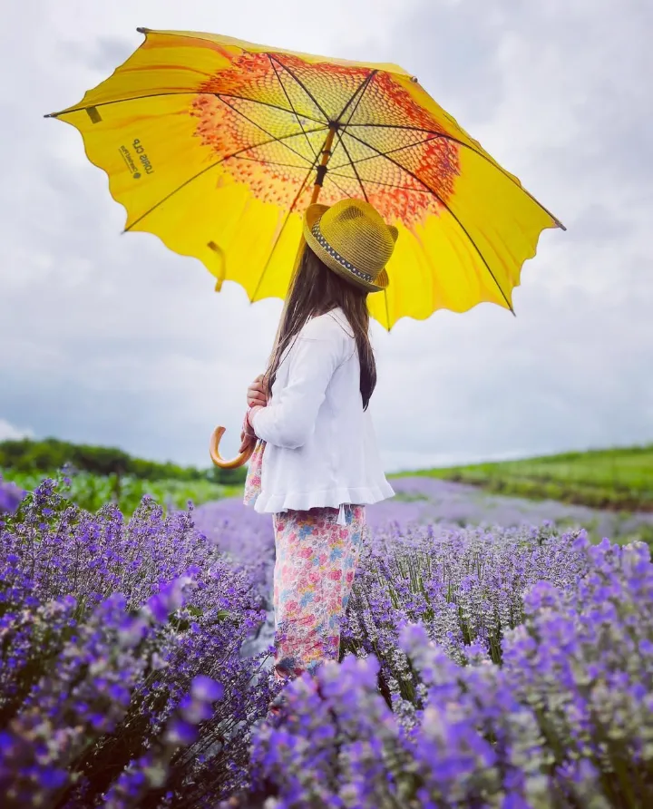 Fetiță cu umbrelă galbenă în lanul de lavandă înflorită